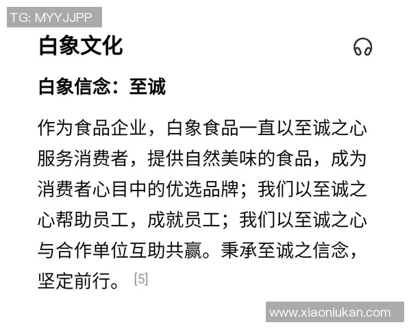 重庆足球队的成长之路:从默默无闻到璀璨辉煌的奋斗历程