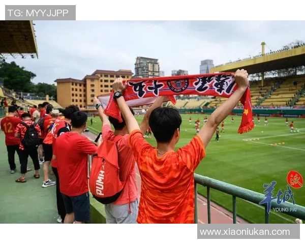 广州排球队逆袭之旅揭秘：从低谷到巅峰的奋斗与坚持